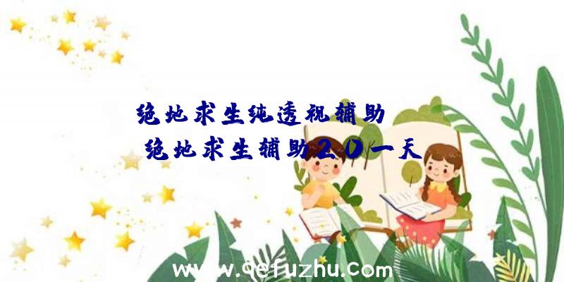 「绝地求生纯透视辅助app」|绝地求生辅助20一天